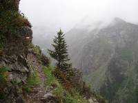 Youri - Ecrins 2005 175